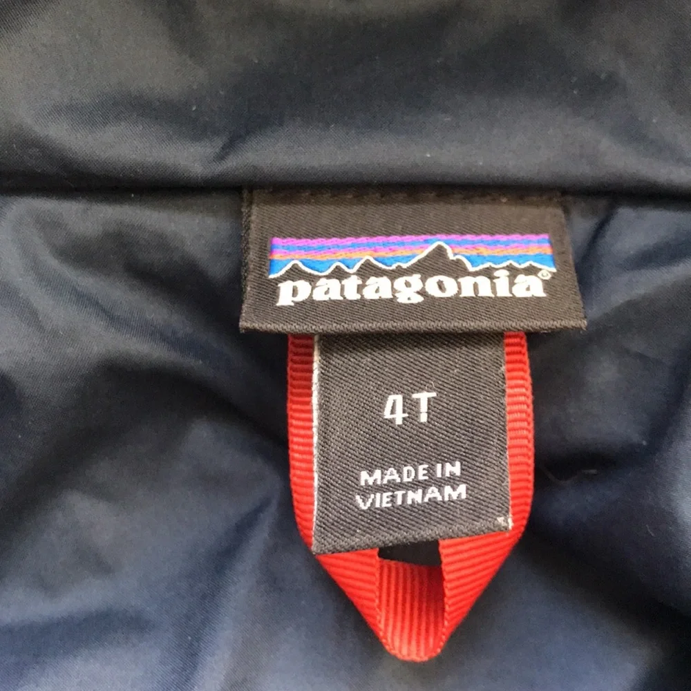 Patagonia Fleece Jacket (size 4T)